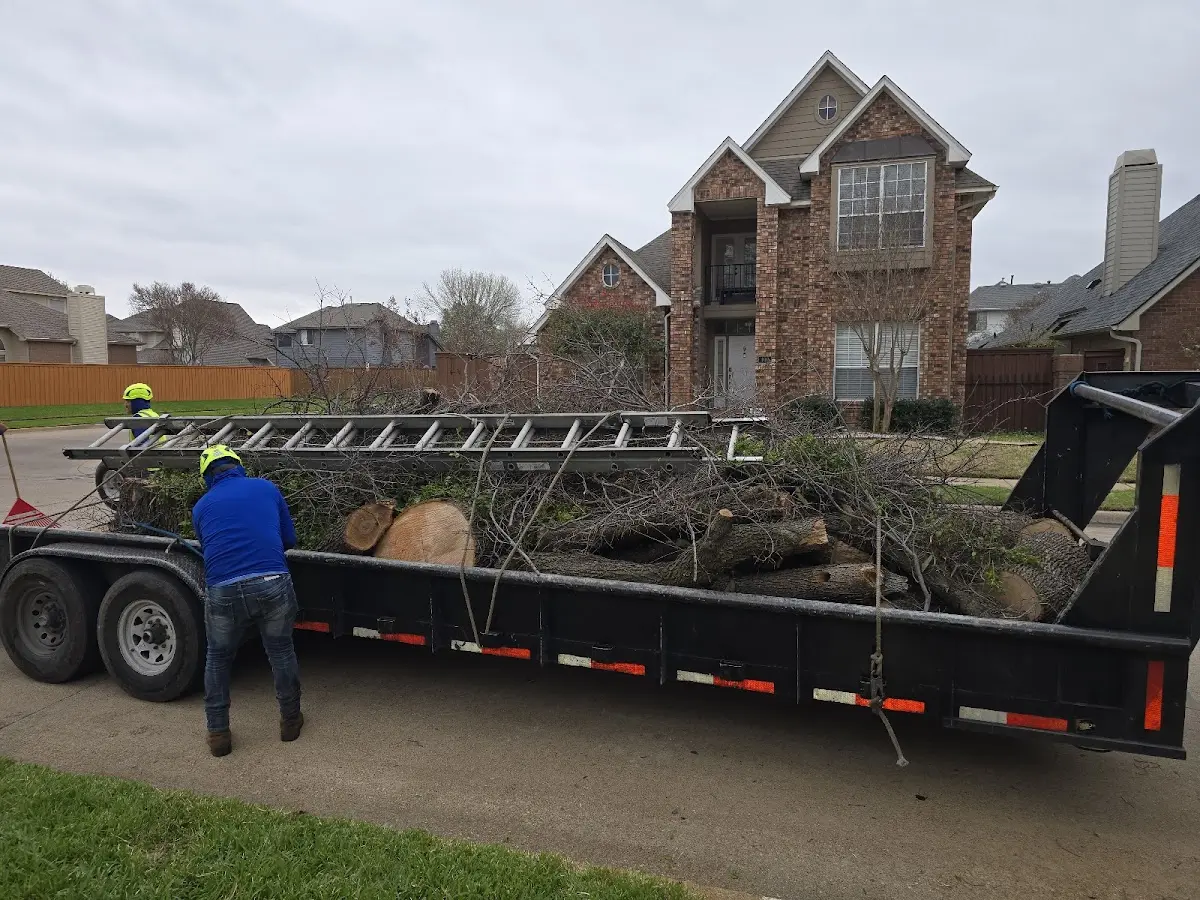 Expert Tree Fertilization with proper safety equipment in North Hatfield